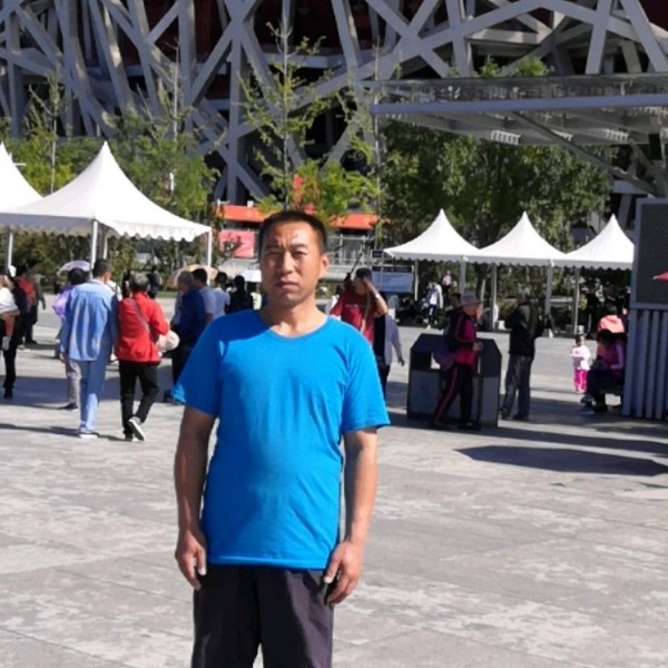 红尘向活力的照片