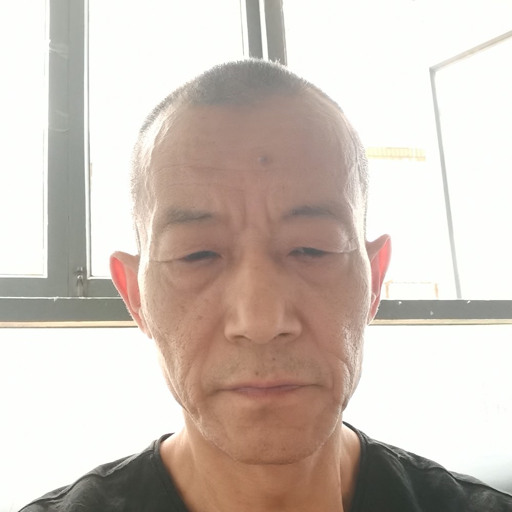 关押鸟的照片