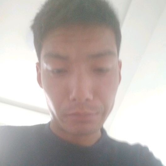 幽默方大树的照片