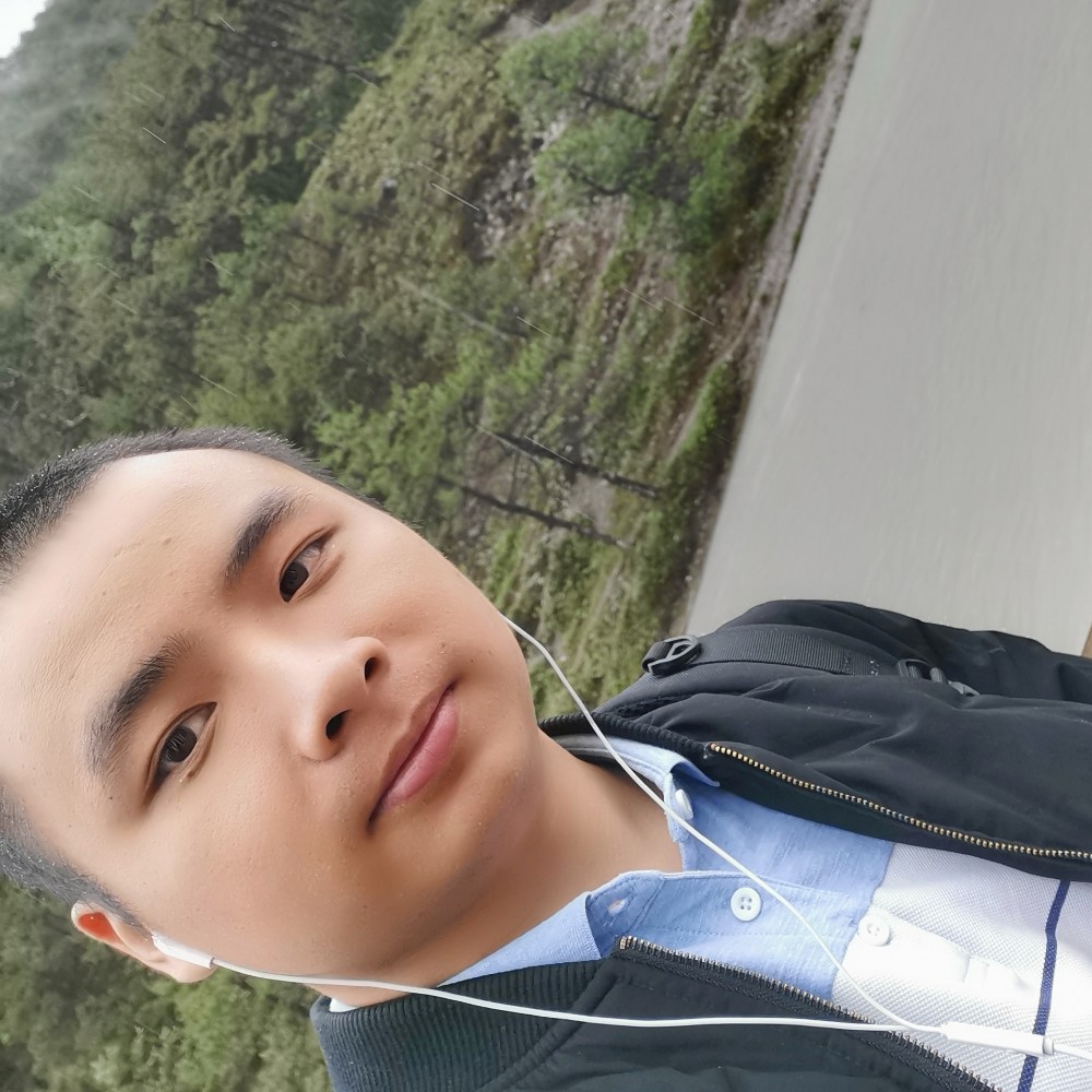 康乃馨繁荣的照片