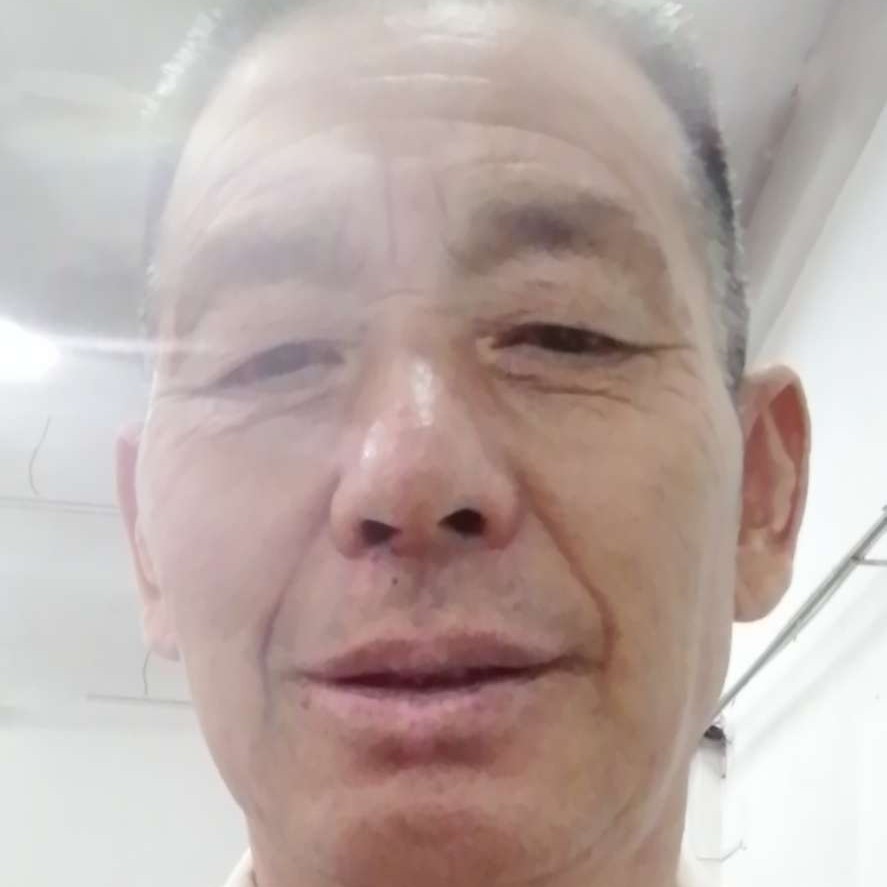辛勤回首鸭子的照片