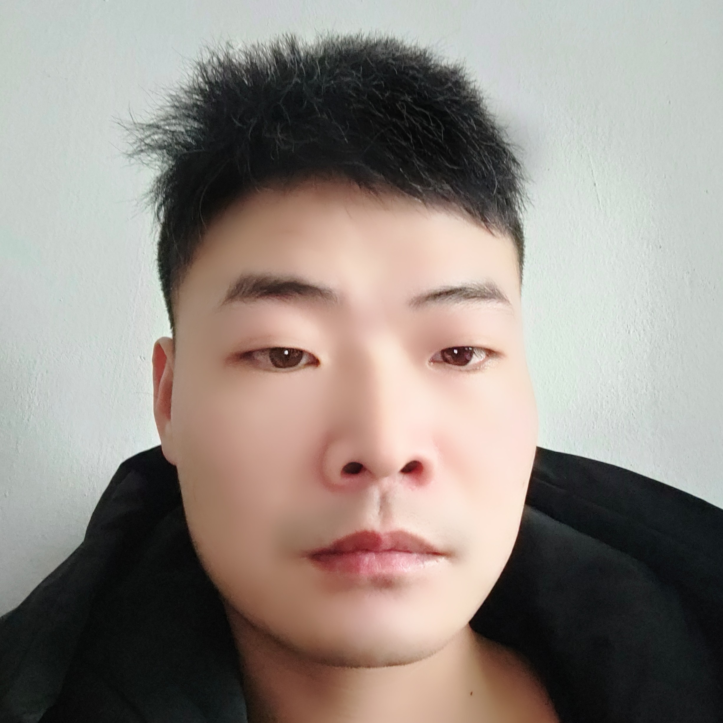 老虎邂逅透彻的照片
