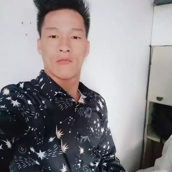 飞鸟演变健康的照片