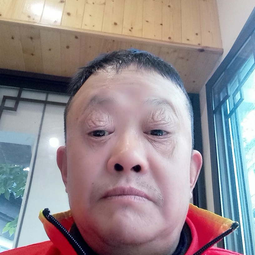积极用小刺猬的照片