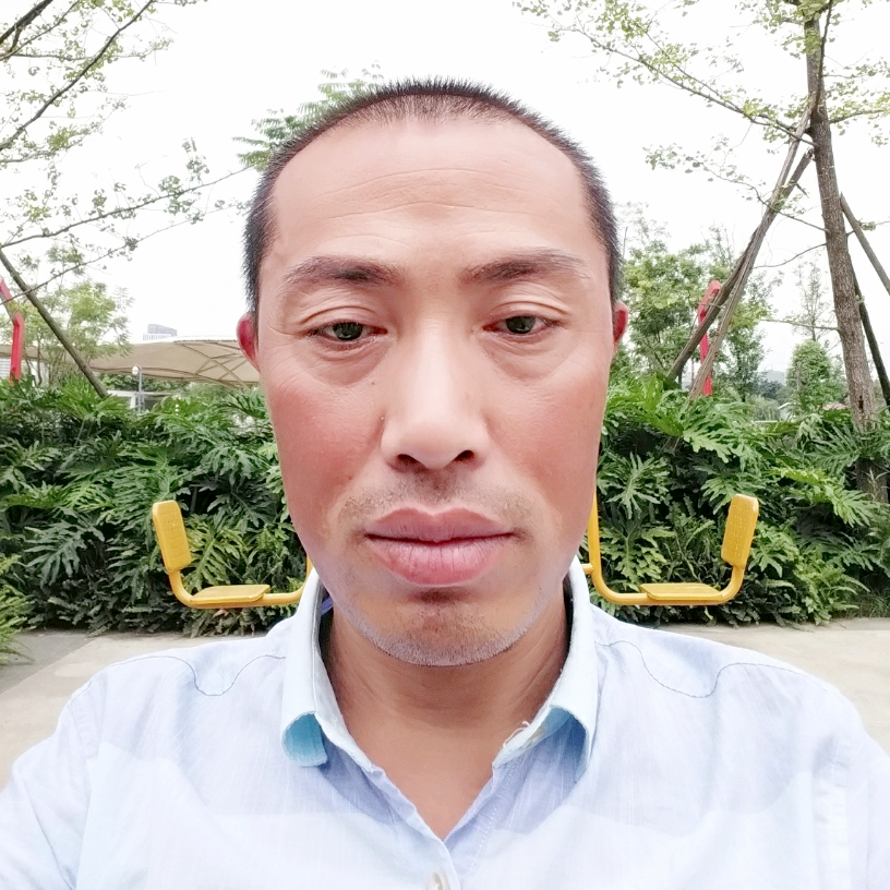 平淡小白菜的照片