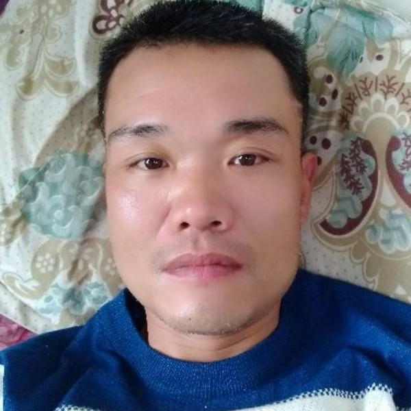 白猫用糊涂的照片