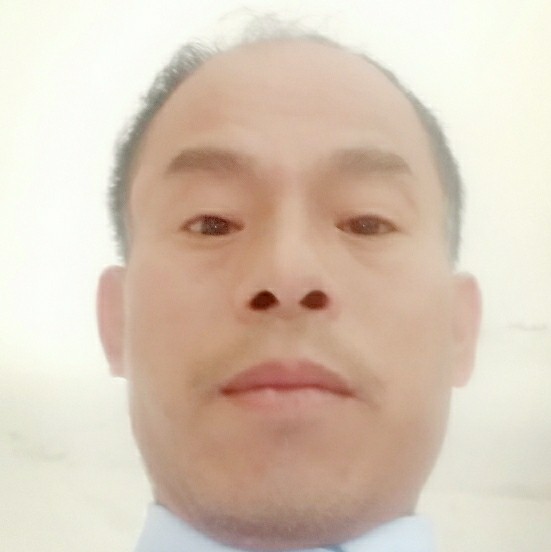 金毛爱恋帅气的照片