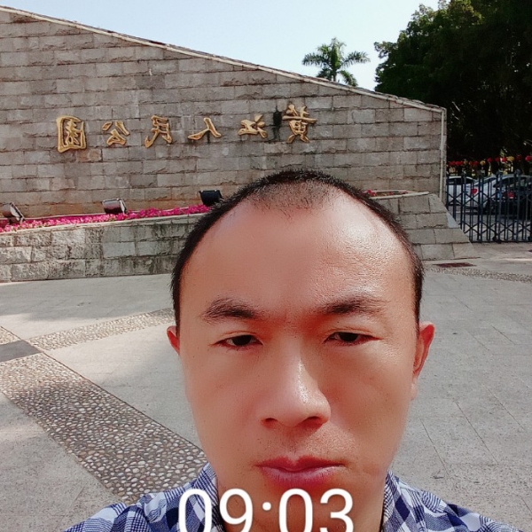 称心苦恋飞鸟的照片