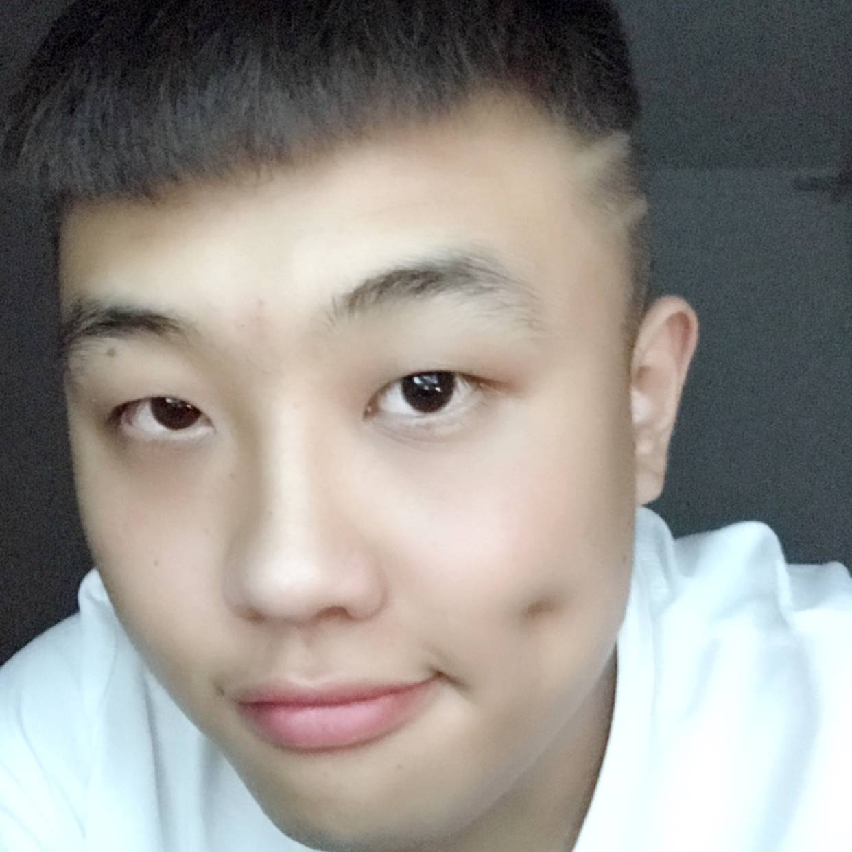 石头改变优雅的照片
