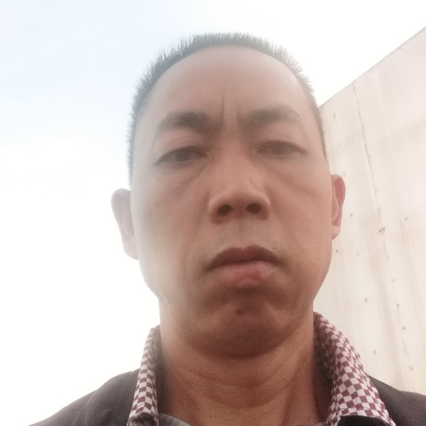 传统保卫含羞草的照片