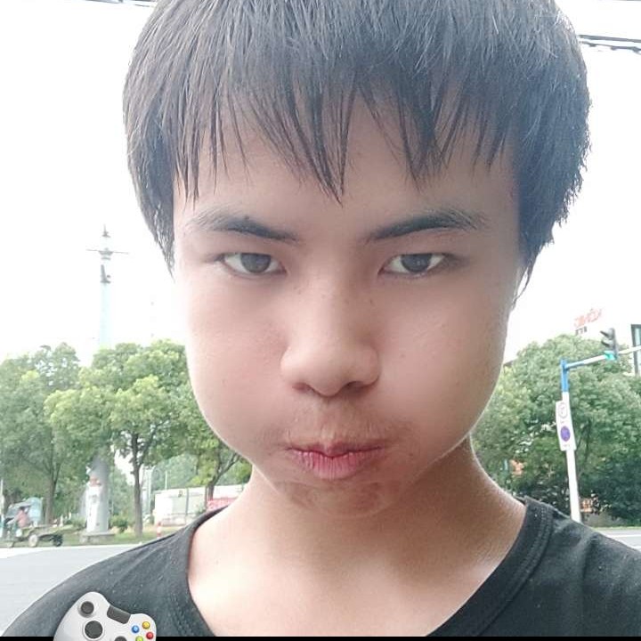 羽毛直率的照片