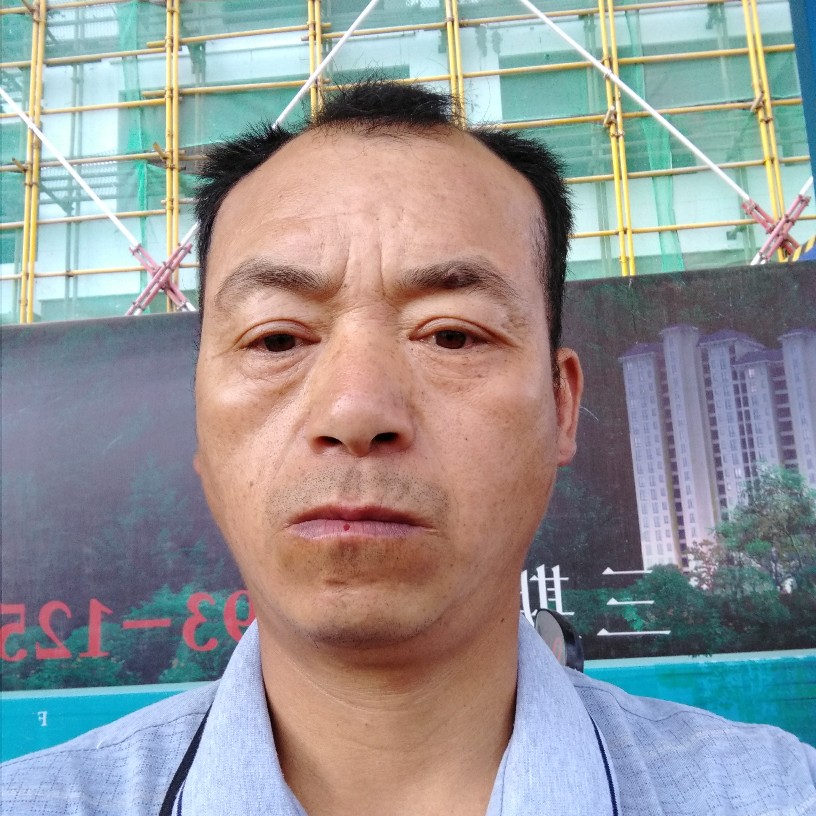太阳深拥冷艳的照片