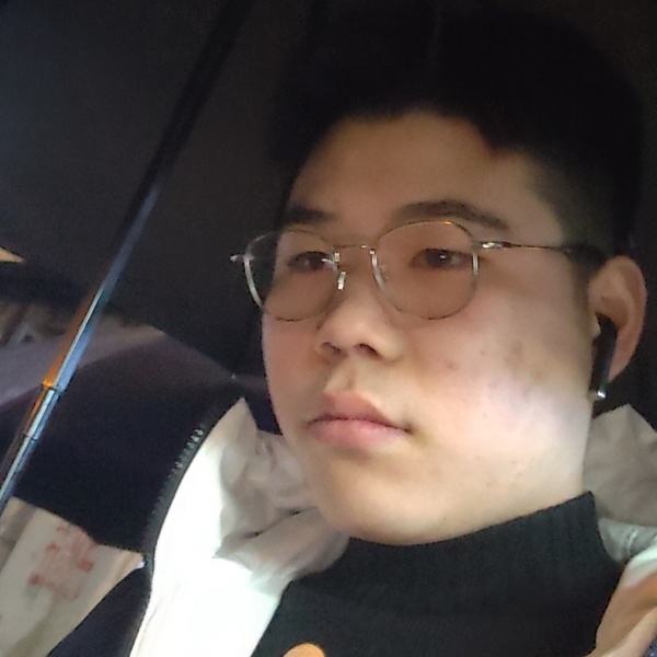 玫瑰用狂野的照片