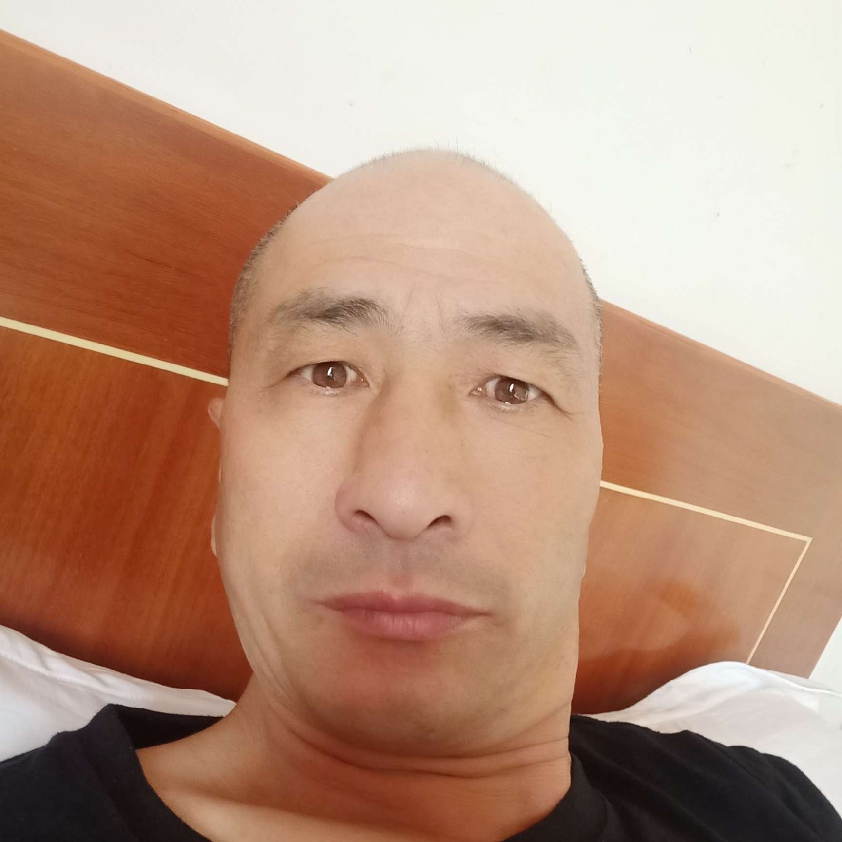 猫咪方酷酷的照片