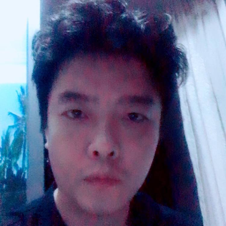 弹丸丸的照片