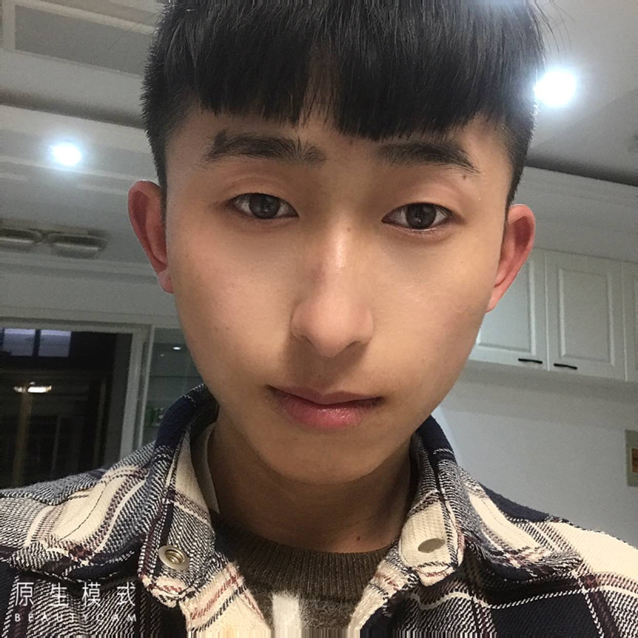 天寂漫步高贵的照片