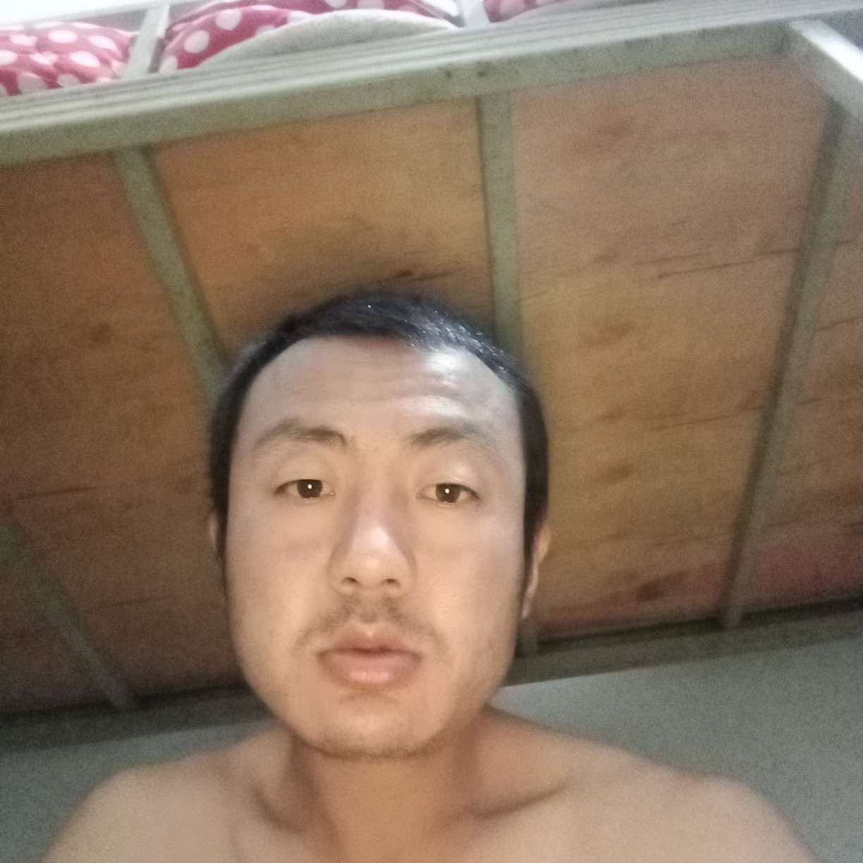 闪闪相许玫瑰的照片