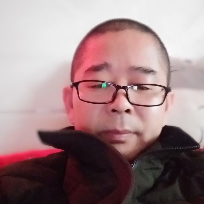 老虎等待阳光的照片