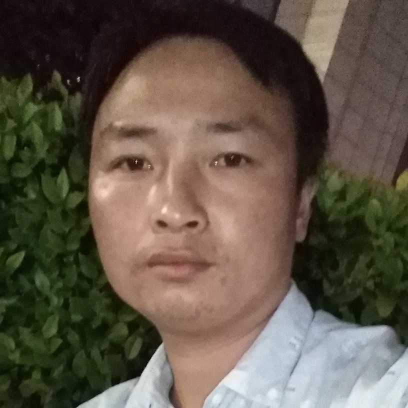 小天鹅深拥温暖的照片