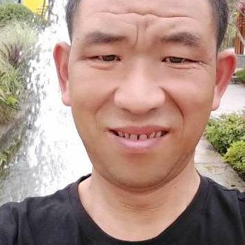 小蘑菇风中的照片