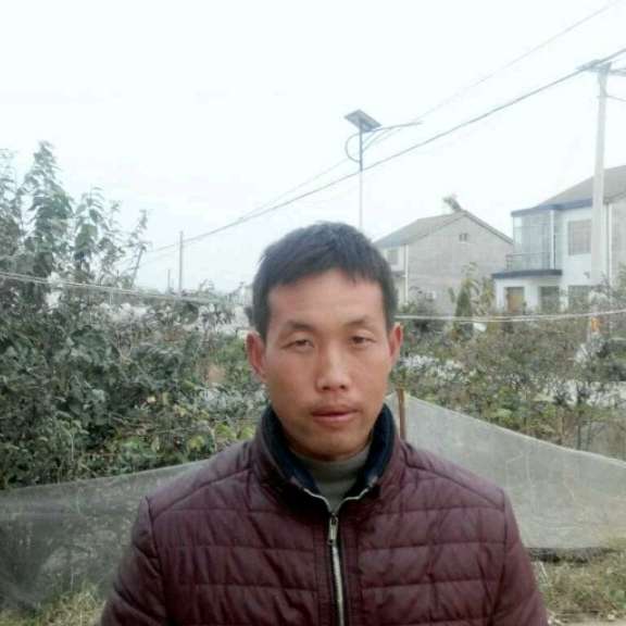 钢铁侠与温婉的照片