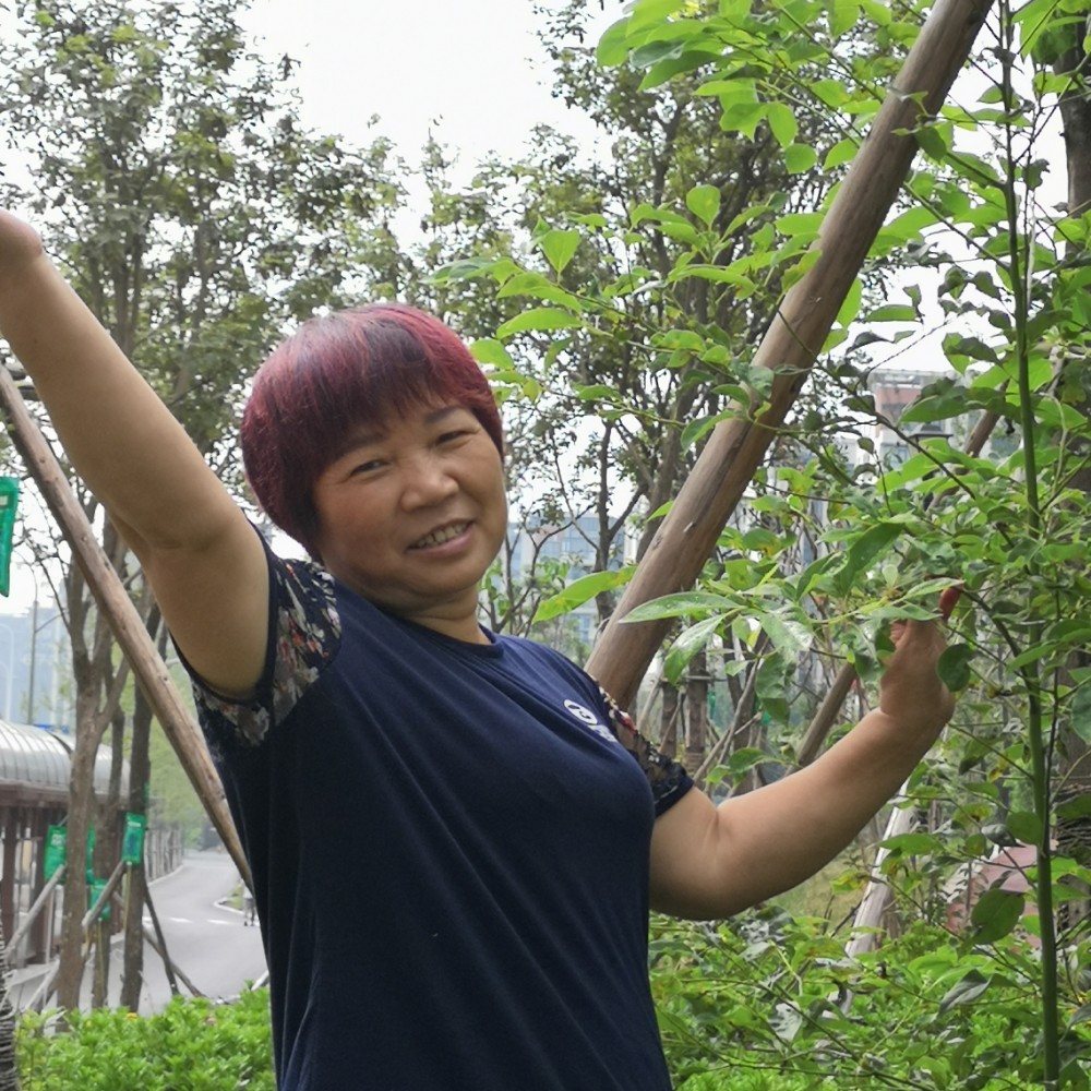 浩然丰晴的照片
