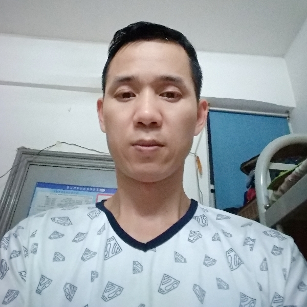 欢呼刺猬的照片