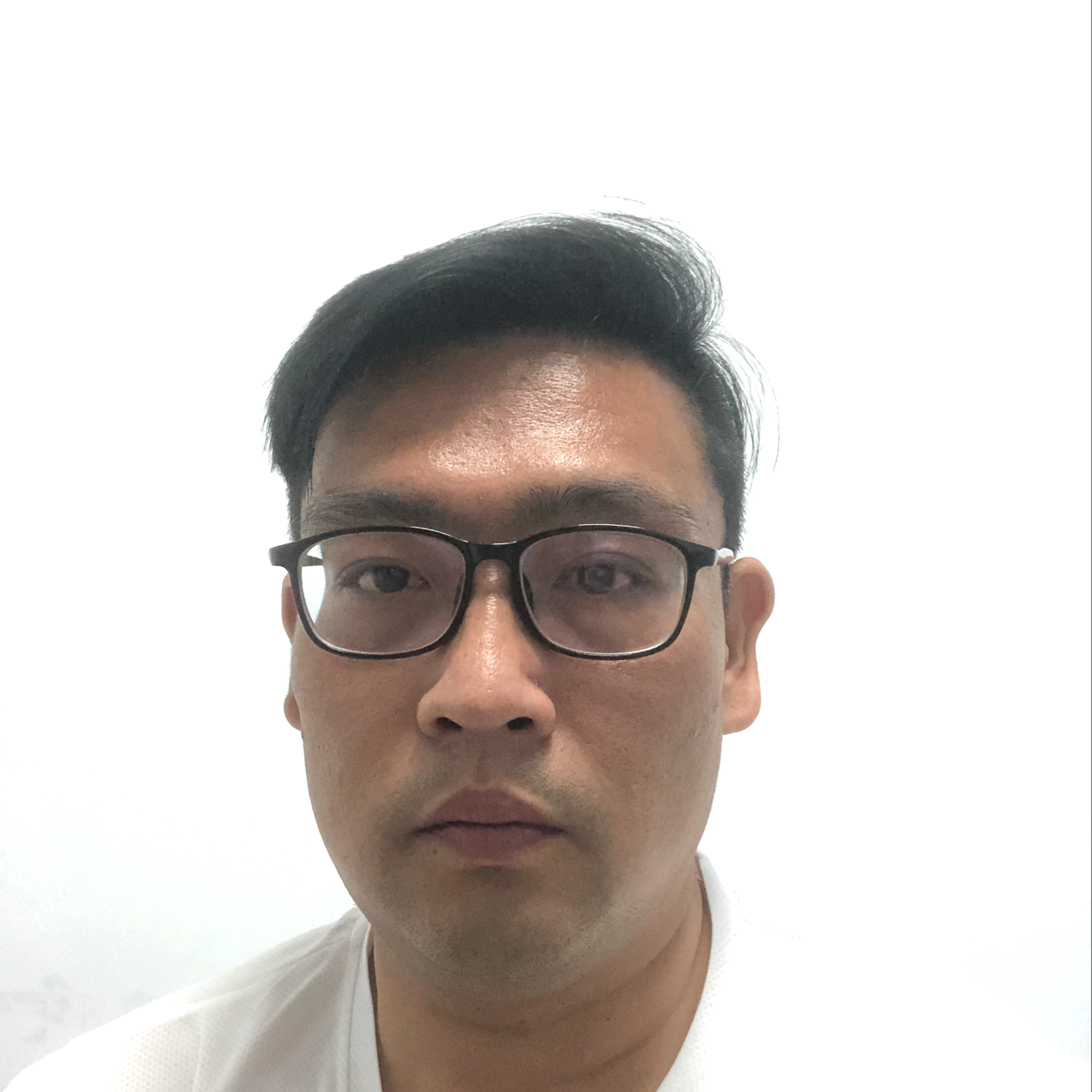 傻傻迎绿茶的照片