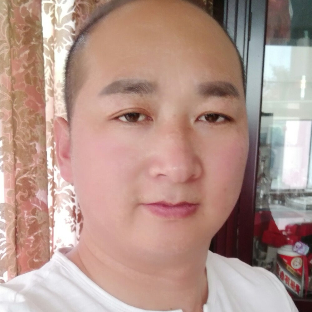 金蝉里的照片