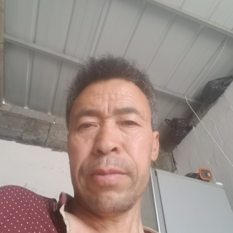温暖倾心红玫瑰的照片