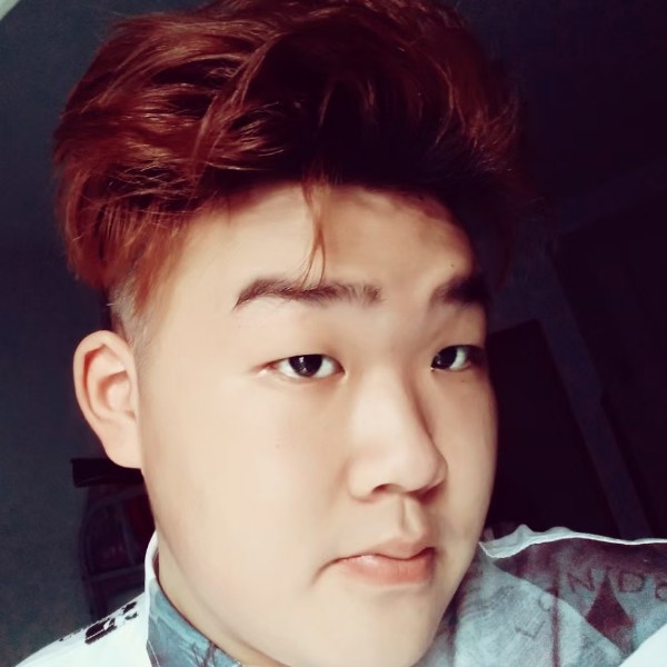 向日葵尊敬的照片