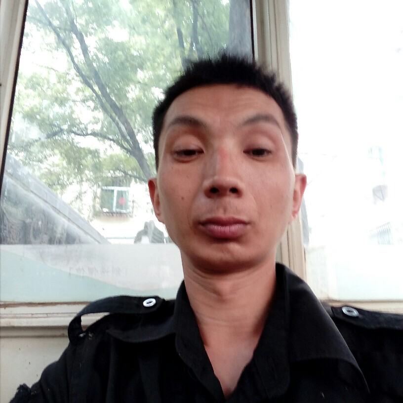 犀牛内向的照片