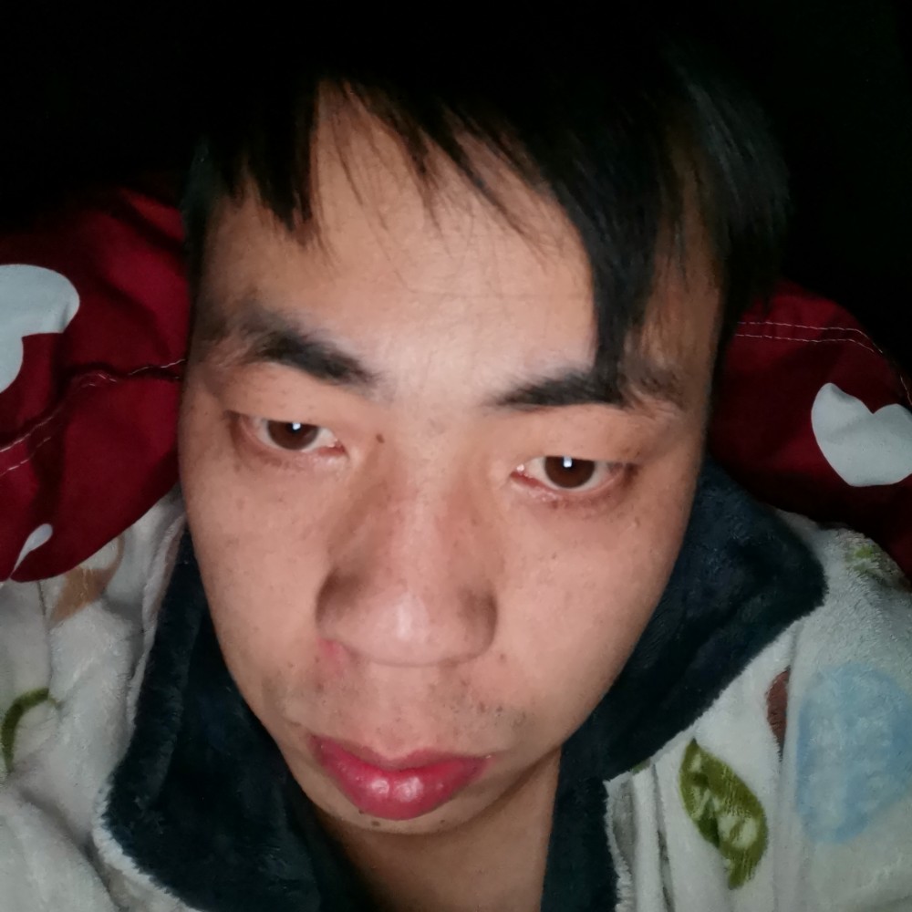 小猫咪泪了甜美的照片