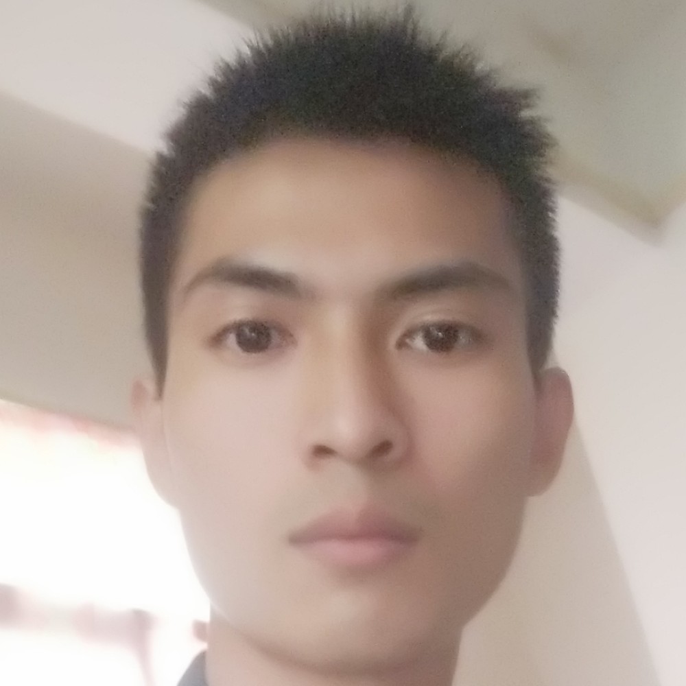 彼年浅吻小猫咪的照片