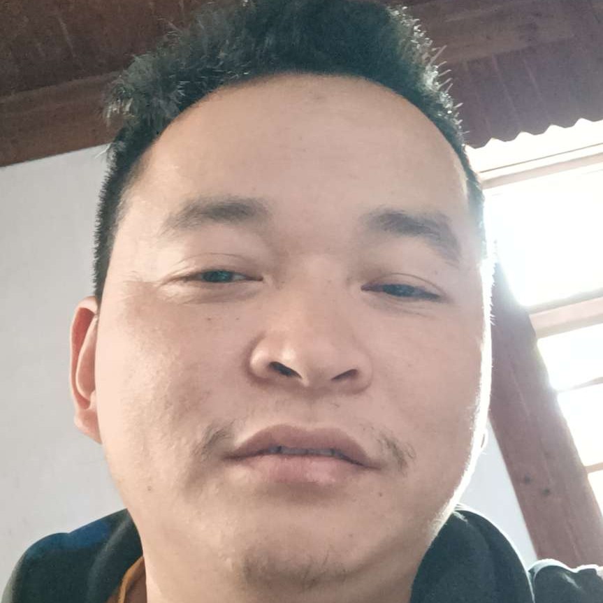 哈喽向先生的照片