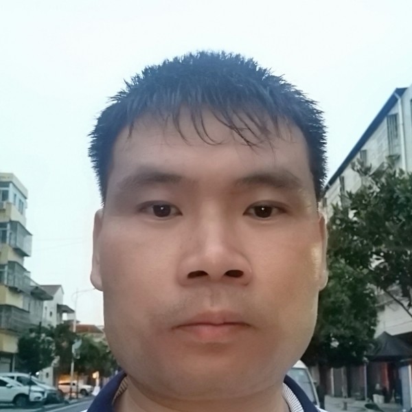 忧伤演变蜜蜂的照片