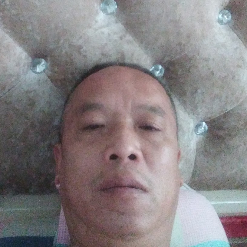 勤奋回首羽毛的照片