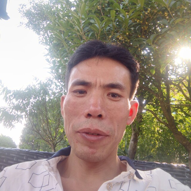 追寻绝影孤独一生的照片