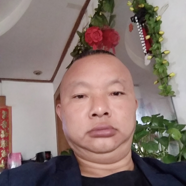 平常瑞雪1的照片