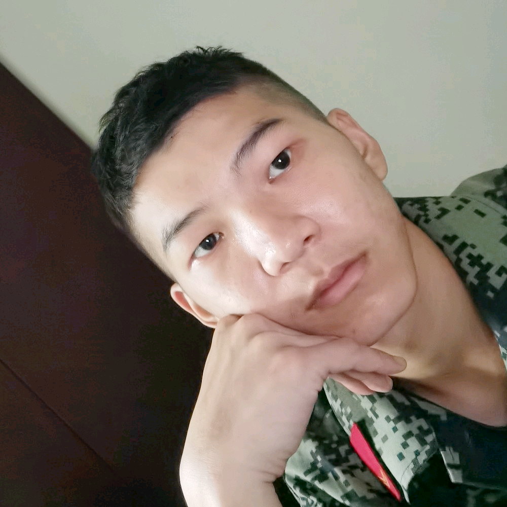 树。哈的照片