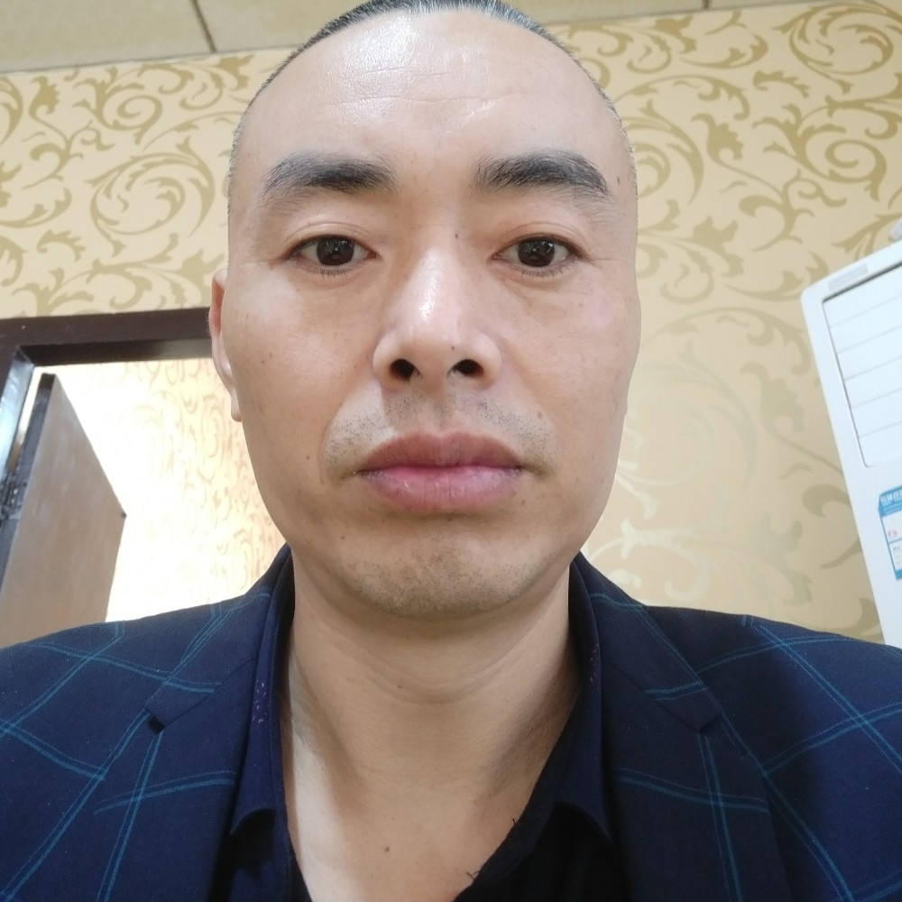 鼠标兴奋的照片