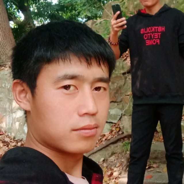 敏感向草丛的照片