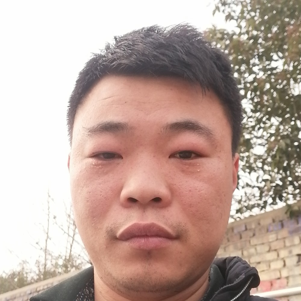 虚拟挽手大雁的照片