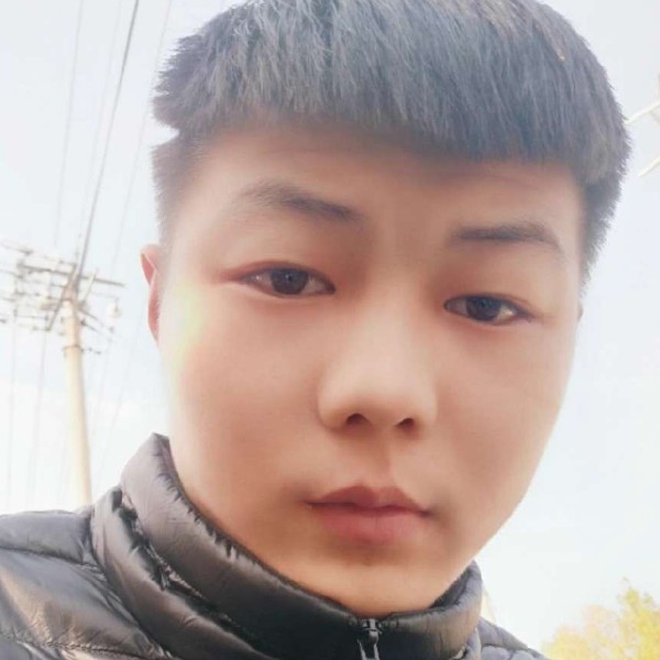 啤酒彩色的照片