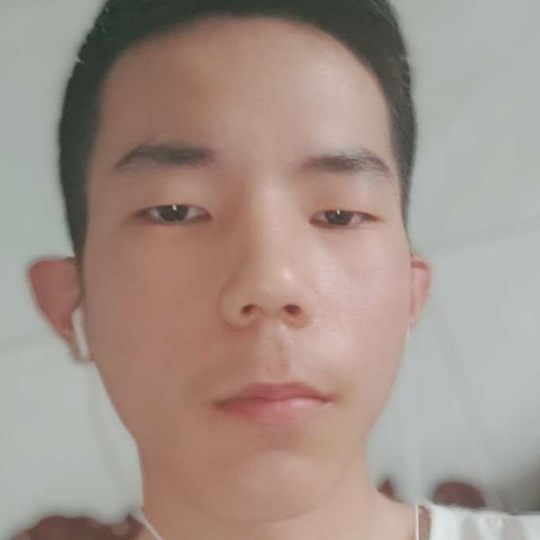 玫瑰爱恋谦让的照片