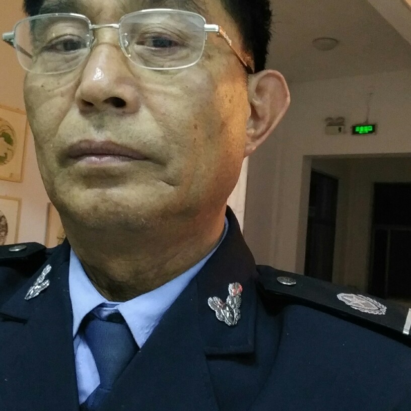 小鸽子高兴的照片