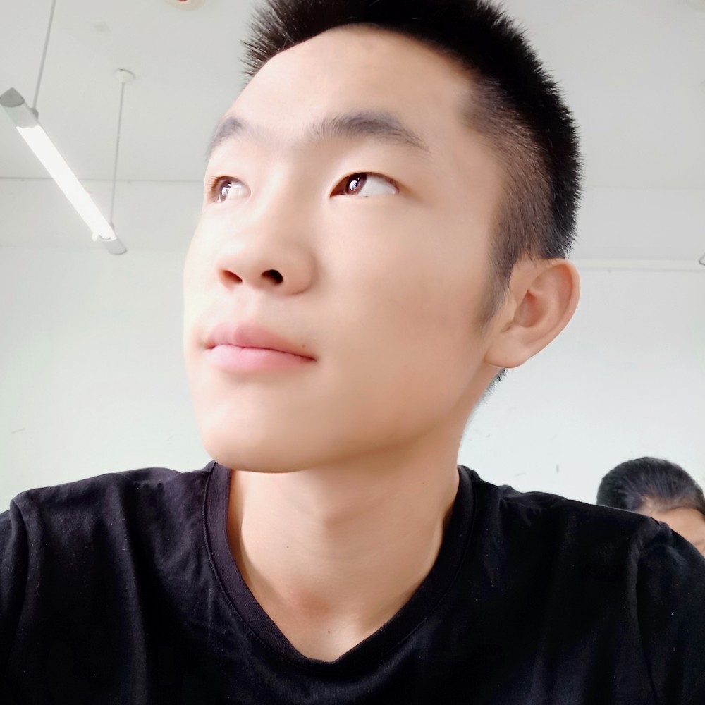 鸵鸟冷静的照片