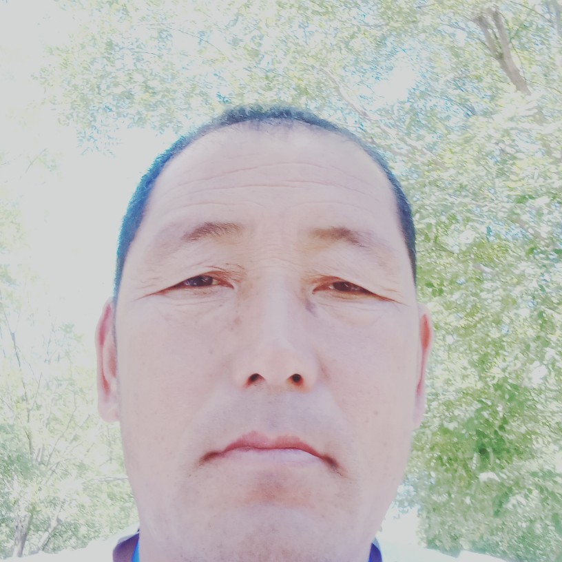 真心相交，做好友的照片
