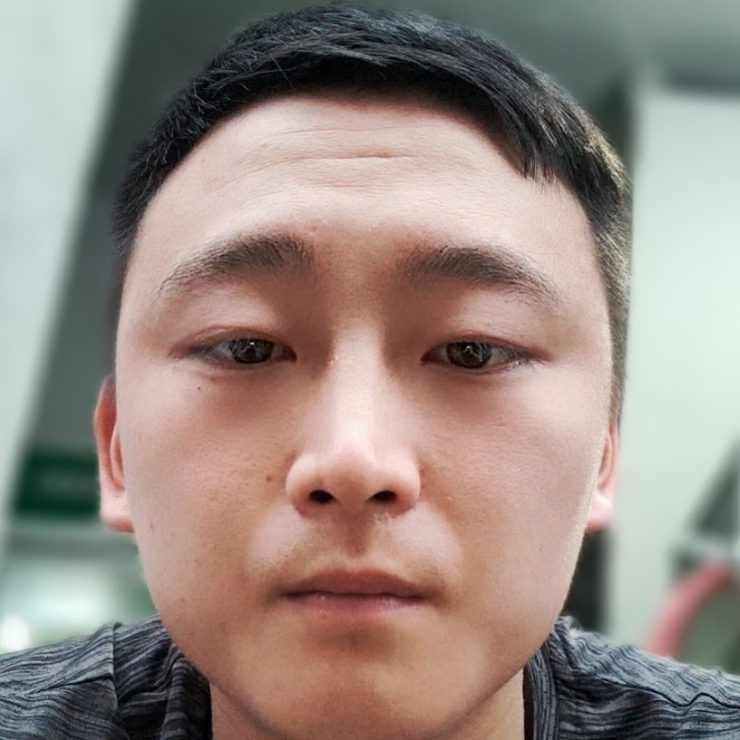 狗保卫落后的照片