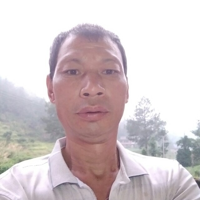 羞涩漫步的照片